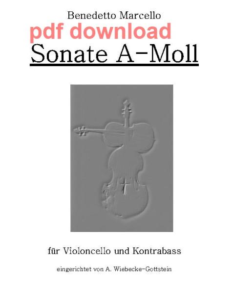 C 127 title